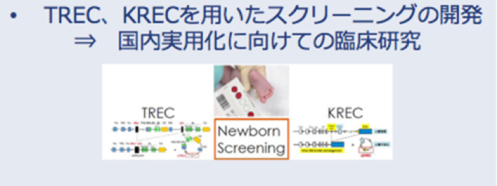 TREC、KRECを用いたスクリーニングの開発