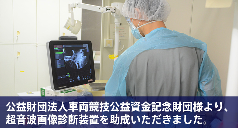 公益財団法人車両競技公益資金記念財団様より、超音波画像診断装置を助成いただきました。