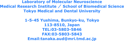 Laboratory of Molecular Neuroscience