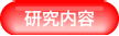 研究内容