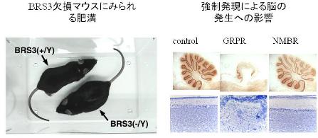 item6a