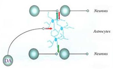 Fig3