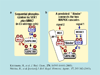 fig1s