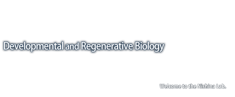 Developmental and Regenerative Biology