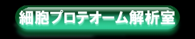 זEveI[͎