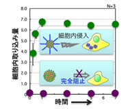 A02_ishihara_pict01