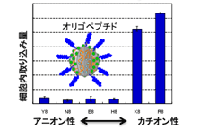 A02_ishihara_pict02