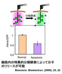 A02_miyake_pict02