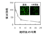 A03_iwata_pict01