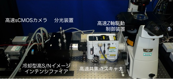 図：SCLIM顕微鏡