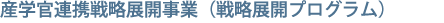 産学官連携戦略展開事業(戦略展開プログラム)