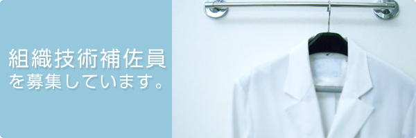 �g�D�Z�p�⍲�����W���Ă��܂�