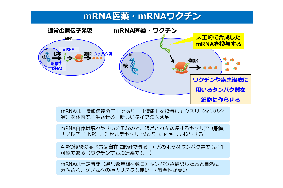 それらはどのように機能するのでしょうか?